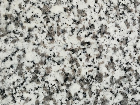 Bianco Sardo Granite Slabs 2 - Bianco Sardo Granite Slabs 2 -