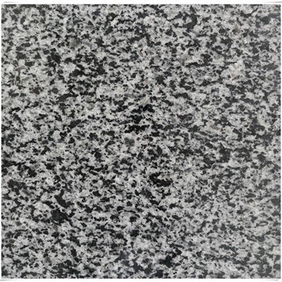 Pavé de granit gris foncé