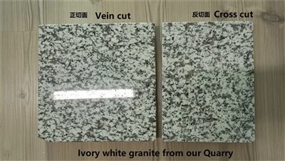 Carrelage Granit Gris
