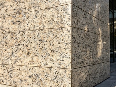 Nouveau granit ornemental Giallo pour la personnalisation du projet et l’approvisionnement mondial